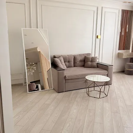 студия,с прямым видом на море! в аркадии.на каманина!